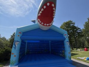 Sautoir Requin