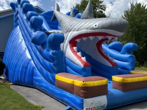 Glissade Méga Requin