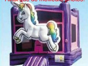 Sautoir Licorne (Disponible à partir mi-mai)